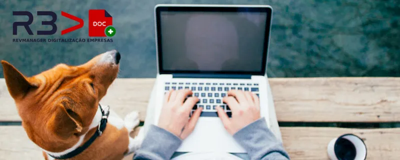 Serviços de Consultoria Revmanager para a Digitalização de Empresas de pequena e média dimensão, incluido contabilidade digital.