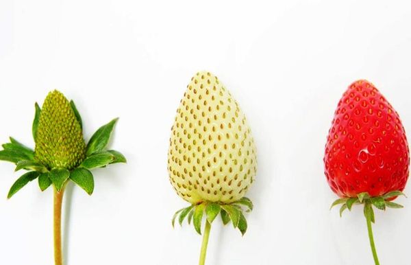 A importância do valor vs preço:  Qual o real impacto para as reservas?