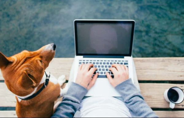 Serviços de Digitalização de Empresas